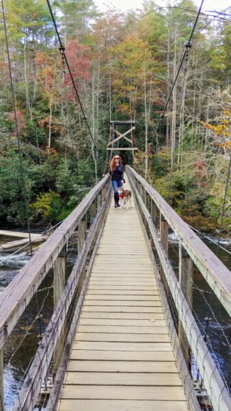 Swinging Bridge Over the Toccoa River on the Benton MacKaye Trail