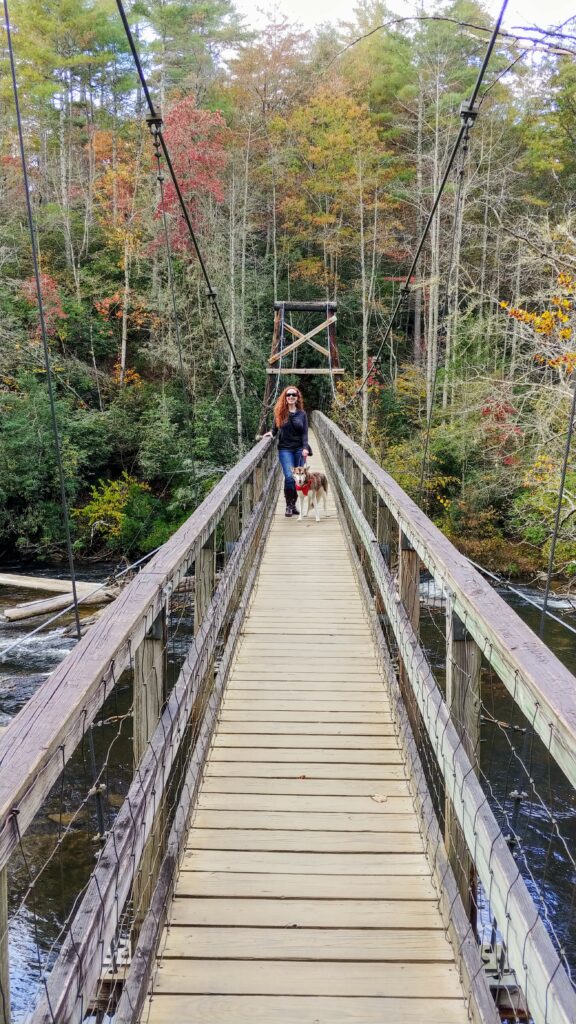 Beautiful Hiking Trails in the North Georgia Mountains