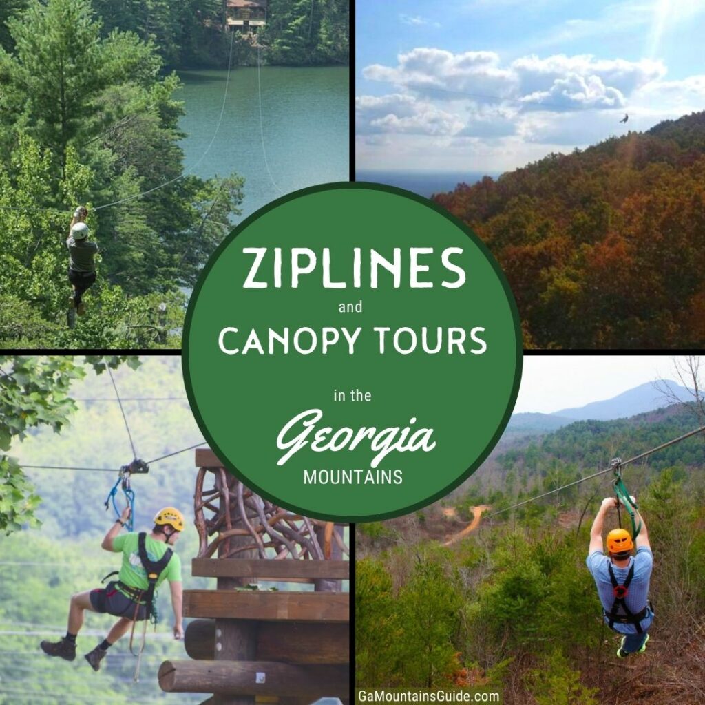 north georgia canopy tours zipline