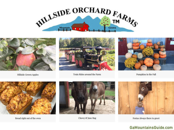 Hillside Orchard Farms Corn Maze in den Bergen von Nordgeorgien