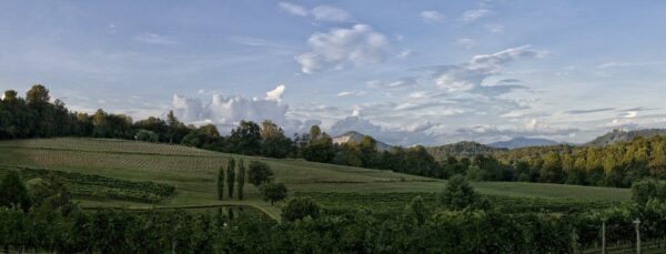 Crane Creek Vineyards in North Georgia