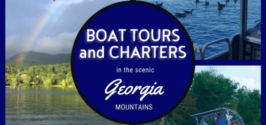 Boat tours and charters in the North Georgia mountains
