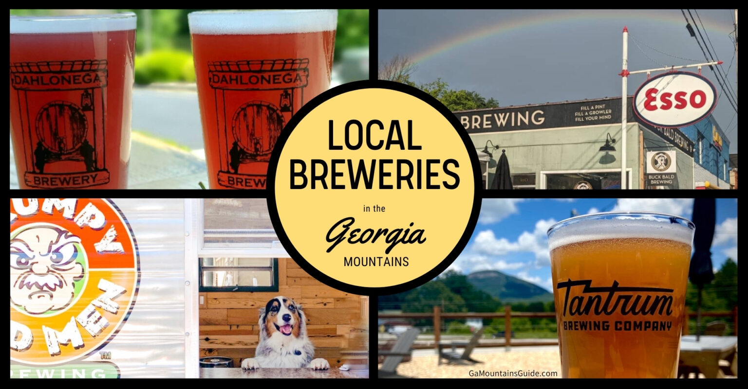 Breweries & Beer in Georgia Mountains 🍺 Ga Mountains Guide