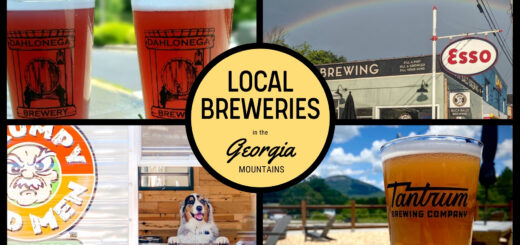 Breweries North Georgia - gamountainsguide.com