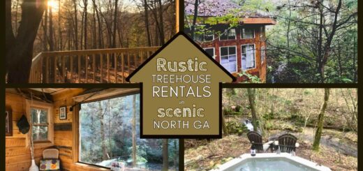 Treehouse Vacation Rentals North GA