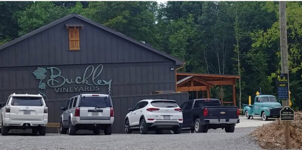Buckley Vineyards Winery Tasting Room in Ellijay GA