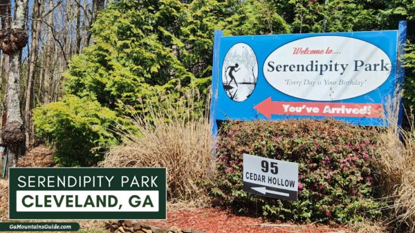 Serendipity Resort Cleveland GA
