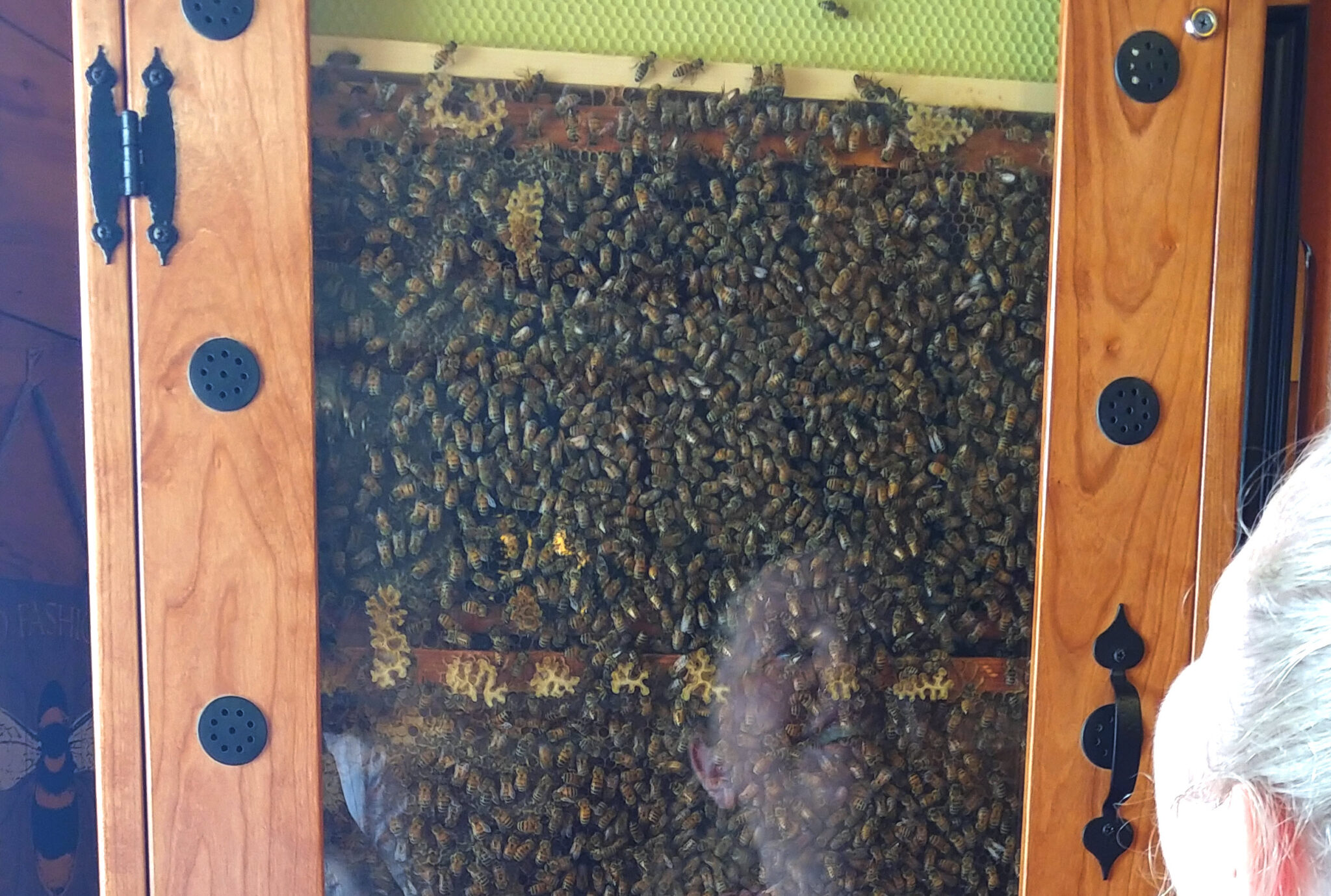 Where to buy MEAD in scenic North GA mountains!