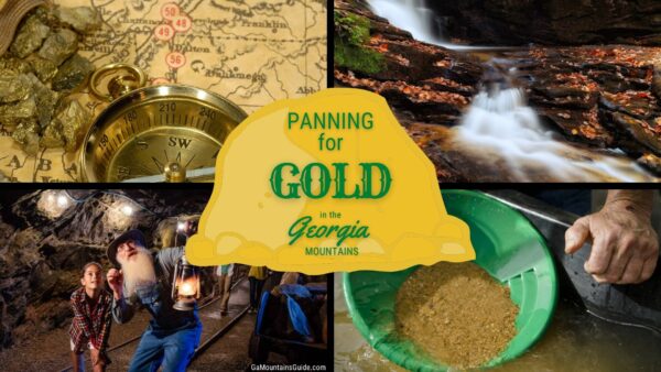 Best Gold Panning Georgia Mountains