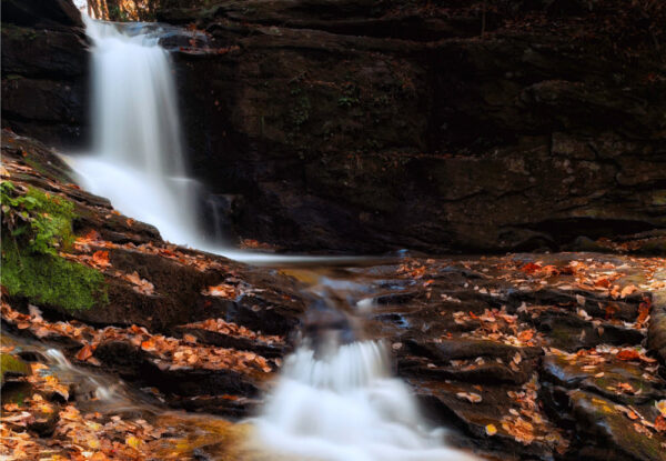Dukes Creek Panning for Gold in Georgia Mountains