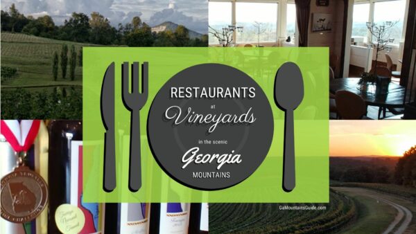 Best Restaurants in North Georgia at Vineyards