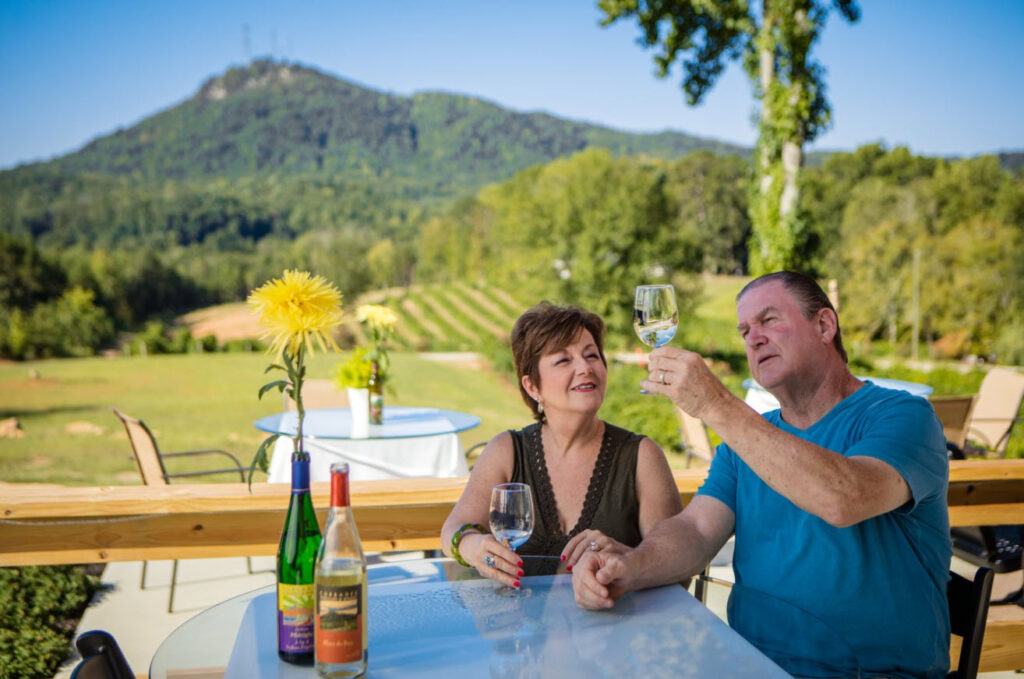 20+ Scenic Vineyards in North Where You Can Picnic!
