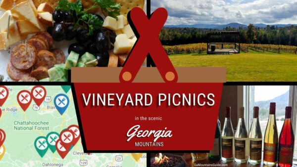Enjoy a Picnic at a Scenic Vineyard in the Georgia Mountains