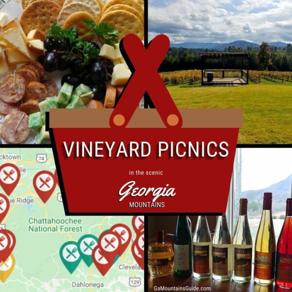 Enjoy a Picnic at a Scenic Vineyard in the Georgia Mountains
