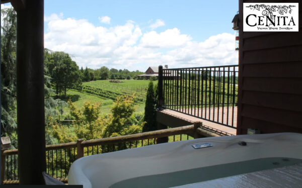 CeNita Vineyards Rental House in Cleveland GA