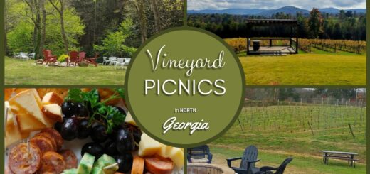 North Georgia Vineyard Picnics