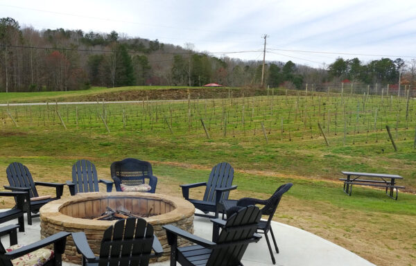 Vineyard picnic spaces at Bear Claw Vineyards
