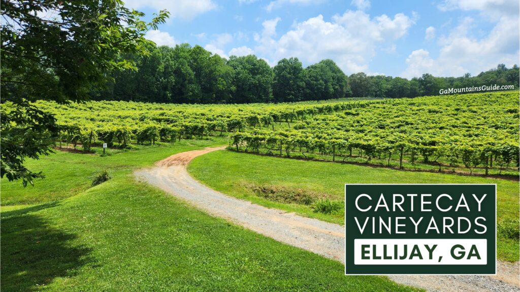 Cartecay Vineyards in Ellijay, GA | Ga Mountains Guide