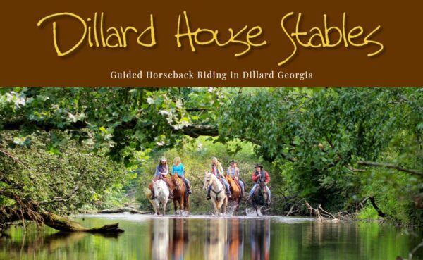 Guided Horseback Riding at Dillard House Stables in Dillard, GA
