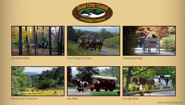Horseback Riding at Gold City Corral & Carriage Co in Dahlonega, GA