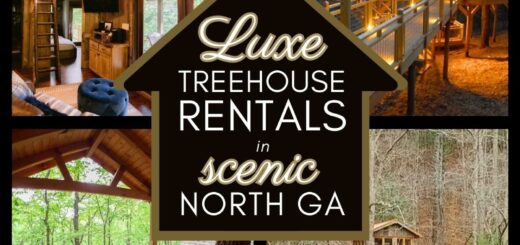 Tree House Rentals Near Me