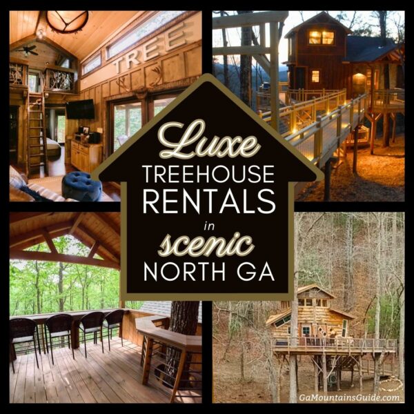 Tree House Rentals Near Me