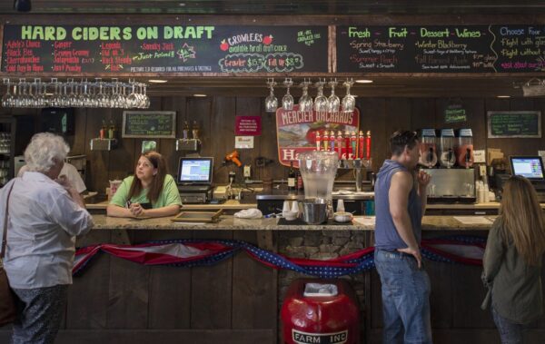 Mercier Orchards Tasting Room Blue Ridge Ga