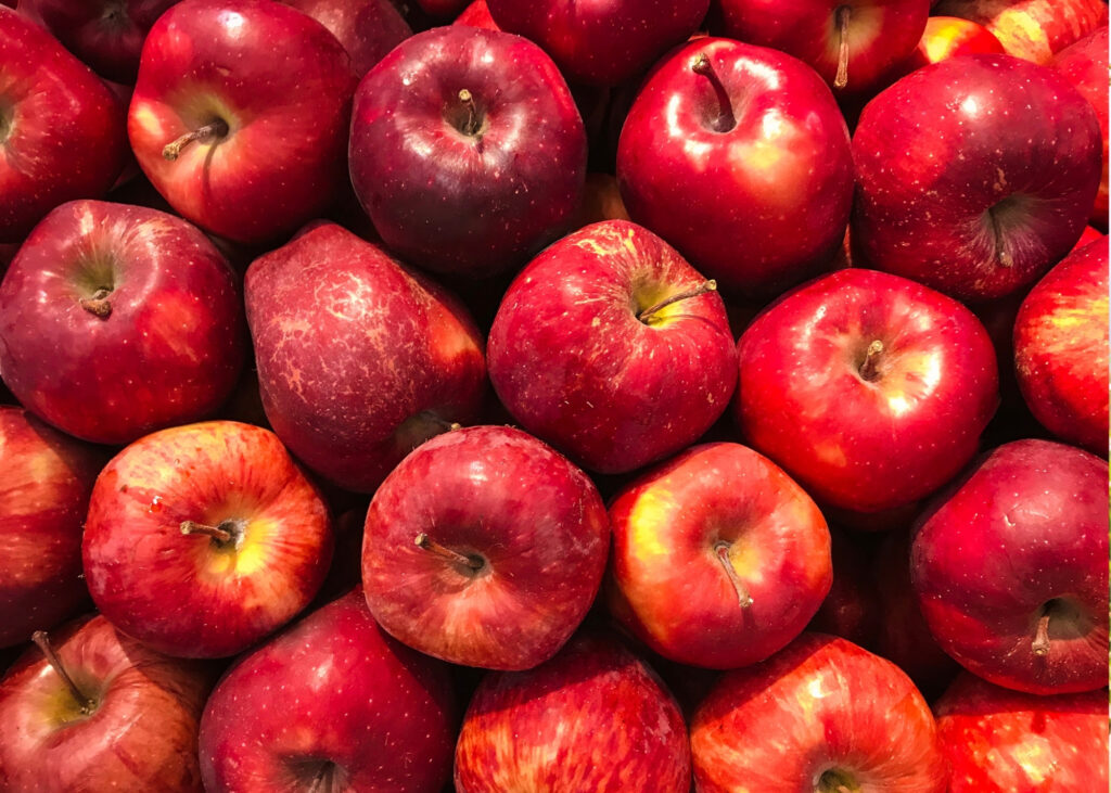 Autumn Harvest Festivals in Scenic North Mountains🍂