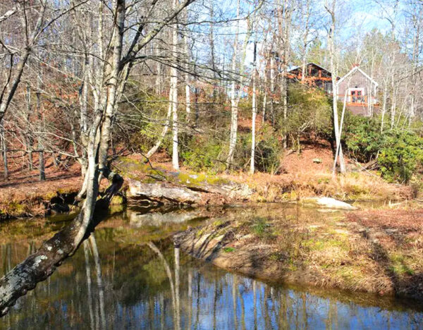 Buckley Vineyards Cabin Rental in Ellijay GA