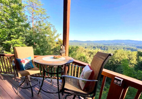 Rental Cabin near Ellijay in Owl Town Retreat