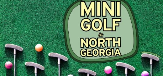 Mini Golf Courses Near Me Georgia