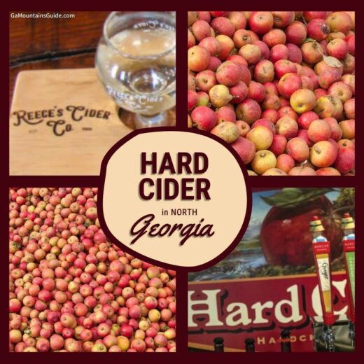 Craft Cider Houses in North 🍏🍎 GA Mountains Guide
