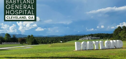 Babyland General Hospital Cleveland GA