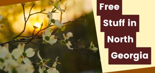 Free Stuff North Georgia