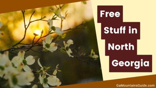 Free Stuff North Georgia