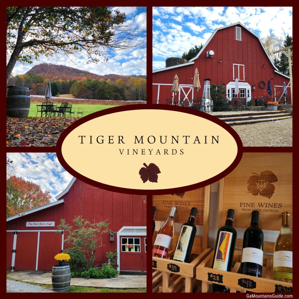 Tiger Mountain Vineyards in scenic North mountains