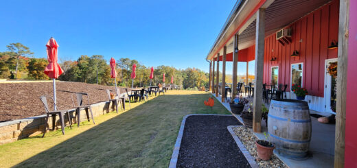 Canoe Vineyard Winery Talking Rock GA