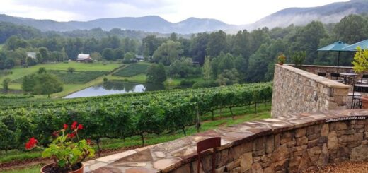 Crane Creek Vineyards Mountain Views