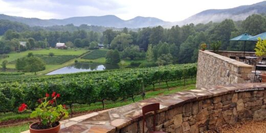 Crane Creek Vineyards Mountain Views