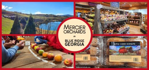Mercier Orchards