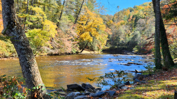 Toccoa Riverside Restaurant scenic views