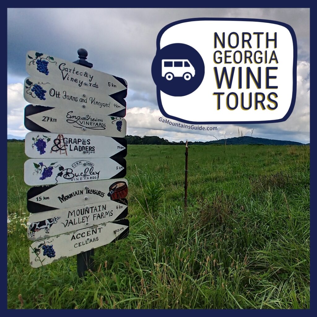 wine tours north georgia mountains