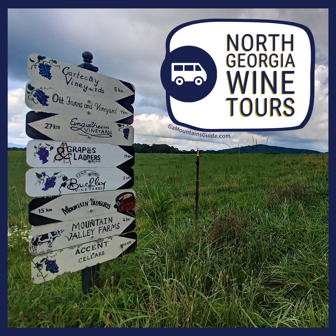 wine tours in georgia