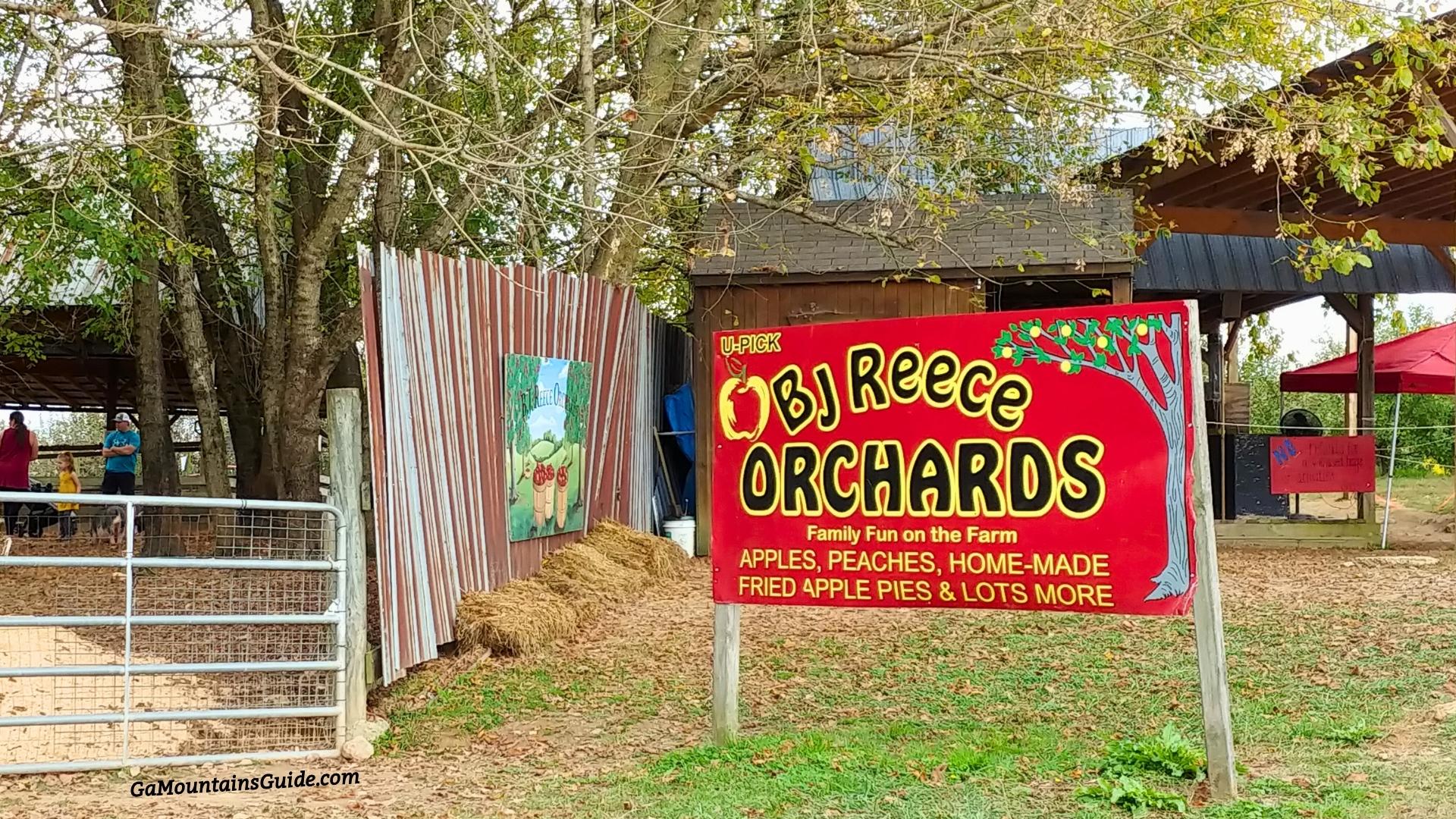 BJ-REECE-ORCHARDS-ELLIJAY-GA | Ga Mountains Guide