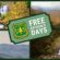 Free Entrance Days at US National Forests