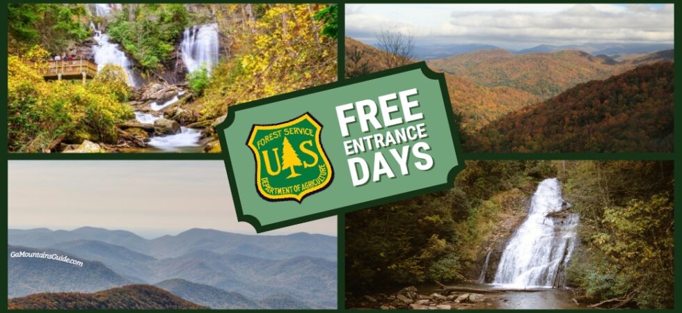 Georgia National Forest