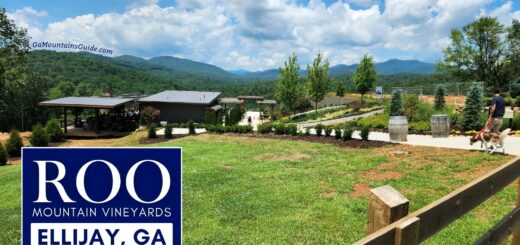 Roo Mountain Vineyards Ellijay