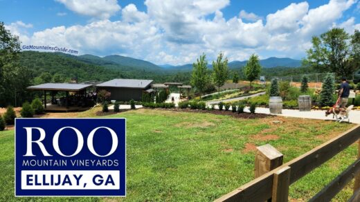 Roo Mountain Vineyards Ellijay