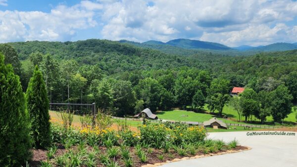 Roo Mountain Vineyards Ellijay GA