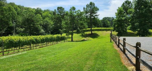 Bear Claw Vineyards Winery